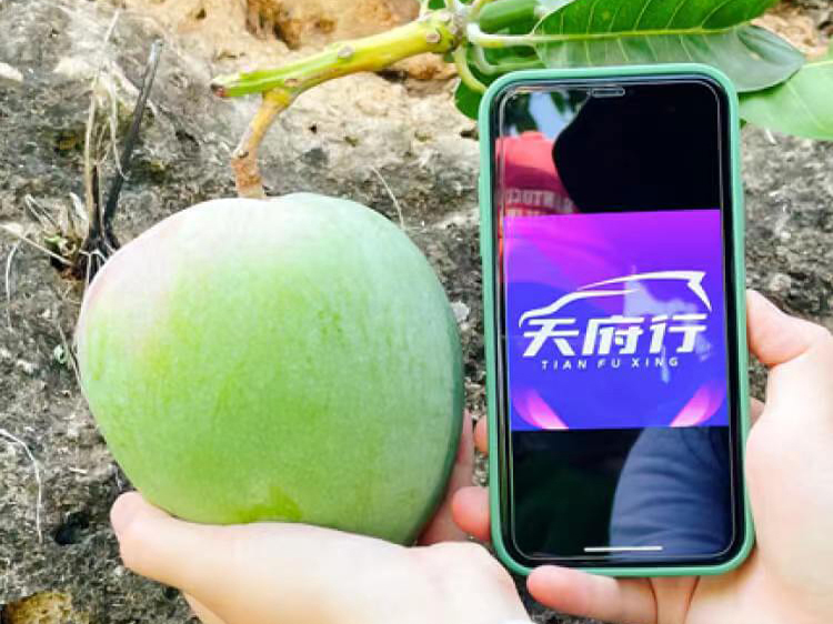 立异推动蹊径客运迈上新台阶